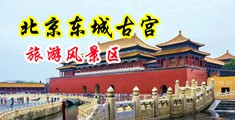 大黑屌操美女屄视频中国北京-东城古宫旅游风景区